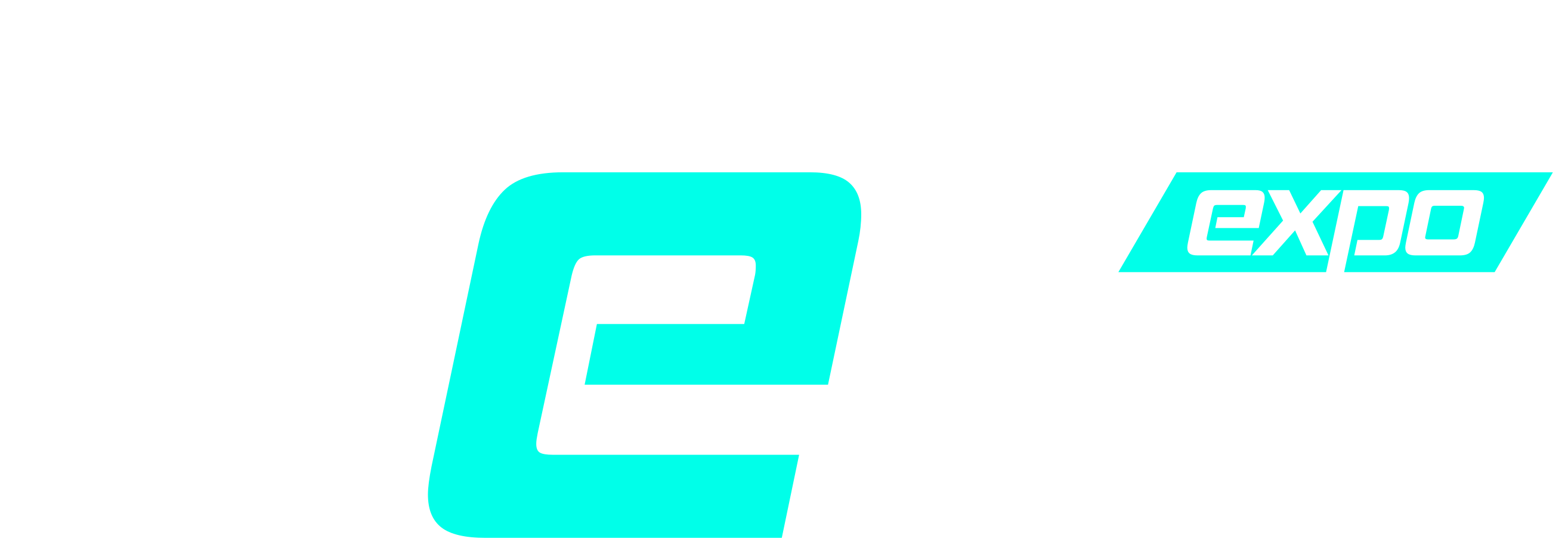 Dev Expo Logo